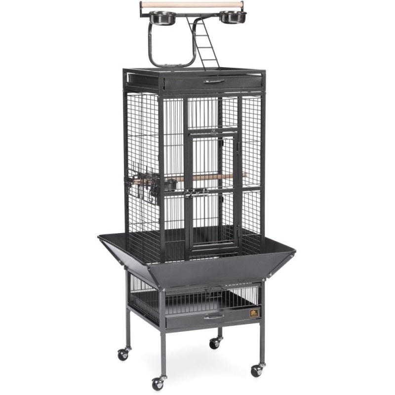 prevue bird cages