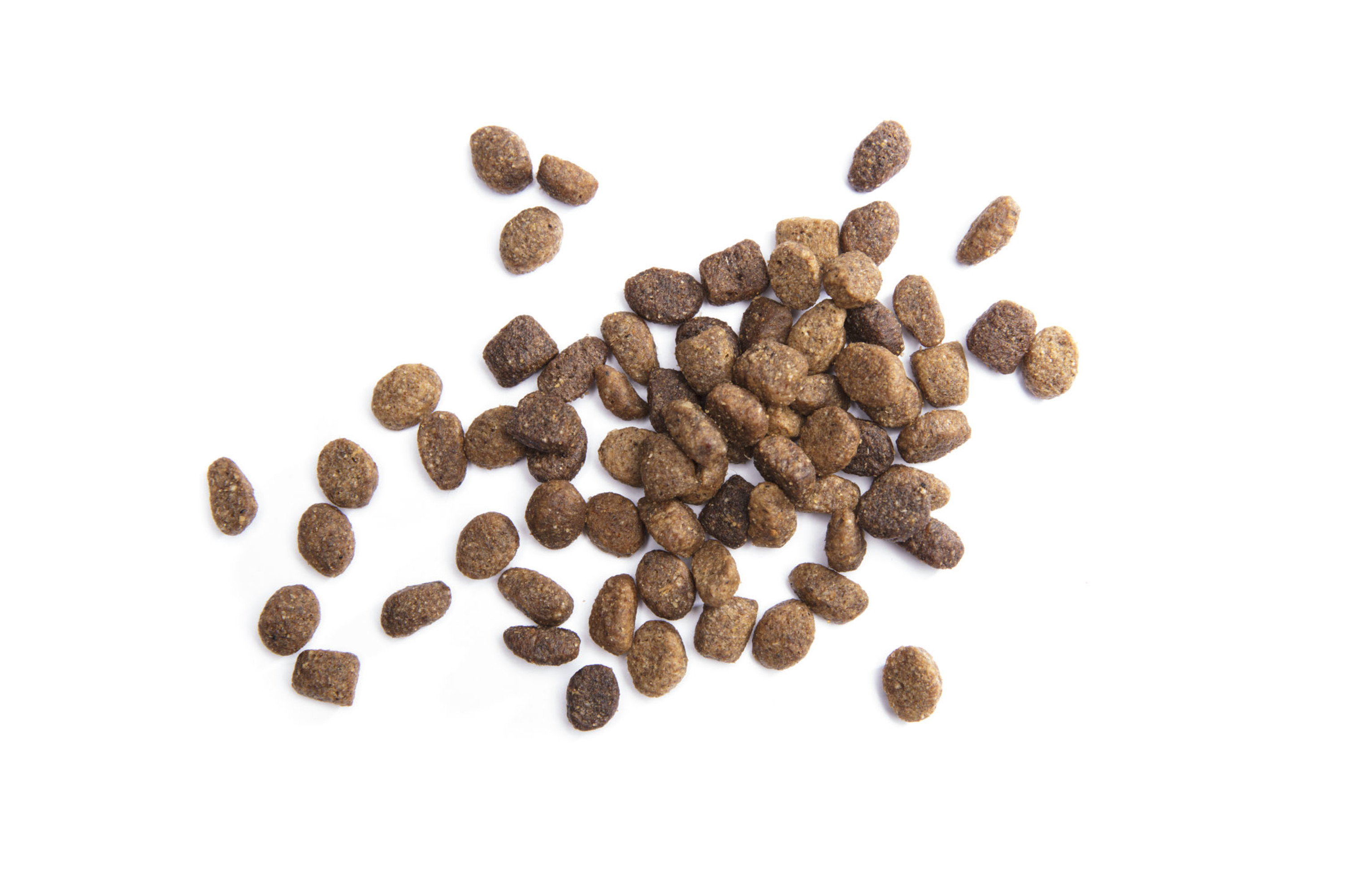 IAMS Proactive Health Adult Chunks Dry Dog Food - Image 8