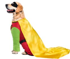 DC Comic Batman's Robin Pet Rubies Costume - Image 4