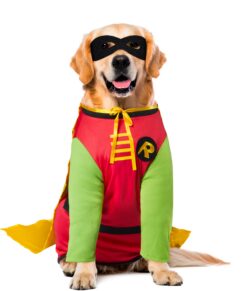 DC Comic Batman's Robin Pet Rubies Costume - Image 7