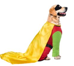 DC Comic Batman's Robin Pet Rubies Costume - Image 5