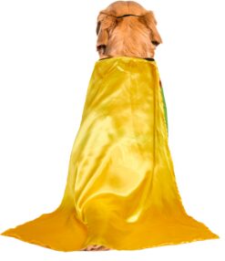 DC Comic Batman's Robin Pet Rubies Costume - Image 6