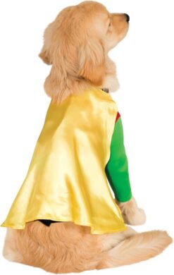 DC Comic Batman's Robin Pet Rubies Costume - Image 3