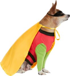 DC Comic Batman's Robin Pet Rubies Costume - Image 10