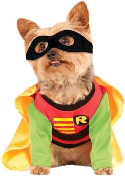 DC Comic Batman's Robin Pet Rubies Costume - Image 11