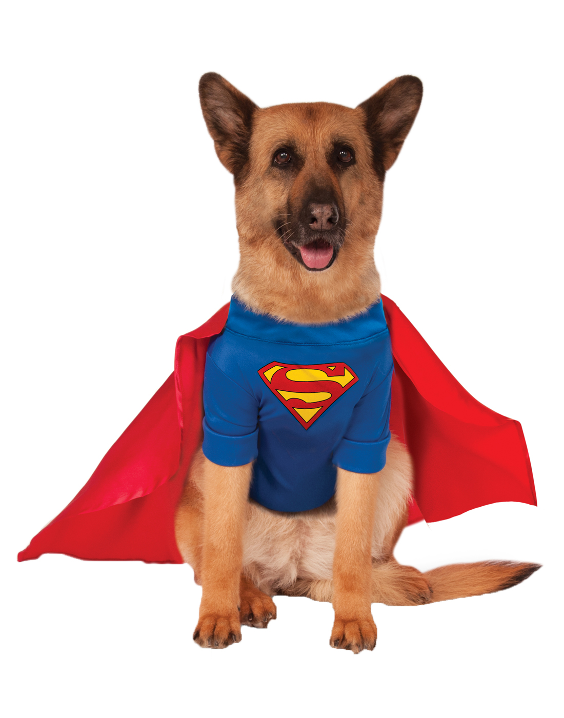 Superman Dog Halloween Costume - Big Dog Edition
