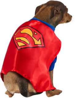 Superman Dog Halloween Costume - Big Dog Edition by Rubies - Image 4