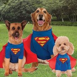 Superman Dog Halloween Costume - Big Dog Edition by Rubies - Image 6