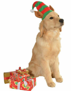 Alternative view of Pet Elf Hat for Christmas by Rubies Pet Shop
