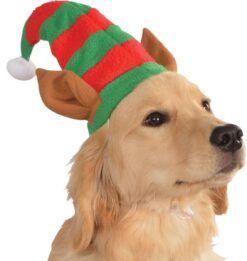 Pet Elf Hat