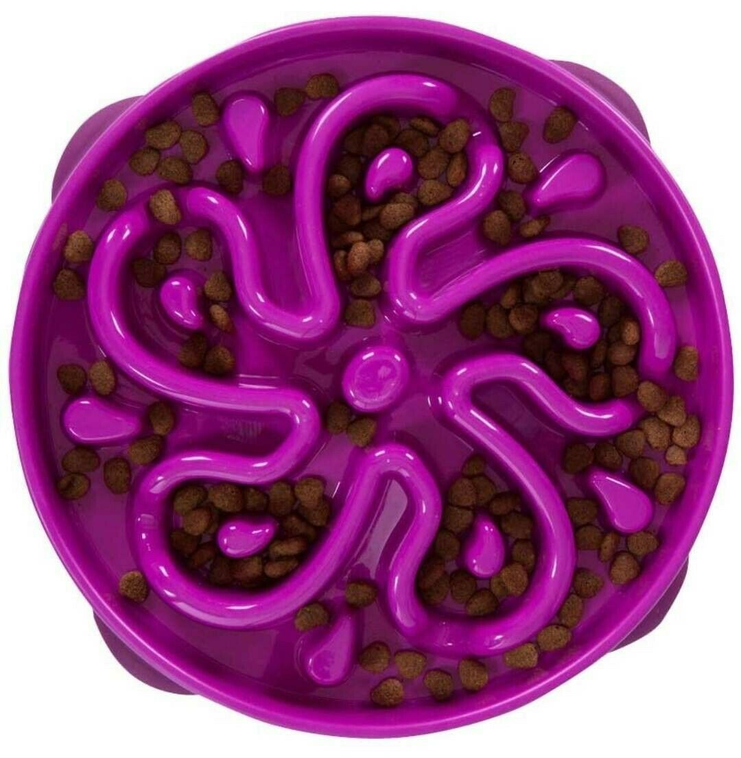 Fun Feeder Slo Dog Bowl by Outward Hound - Image 3