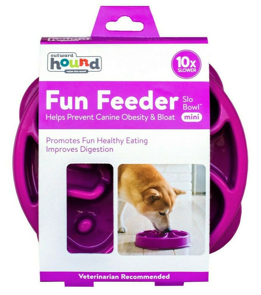 Fun Feeder Slo Dog Bowl by Outward Hound