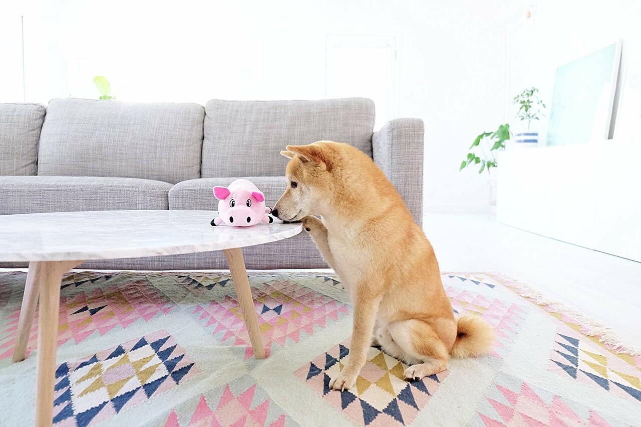 Outward Hound Fattiez Pink Pig Small Squeaker Dog Toy - Image 4
