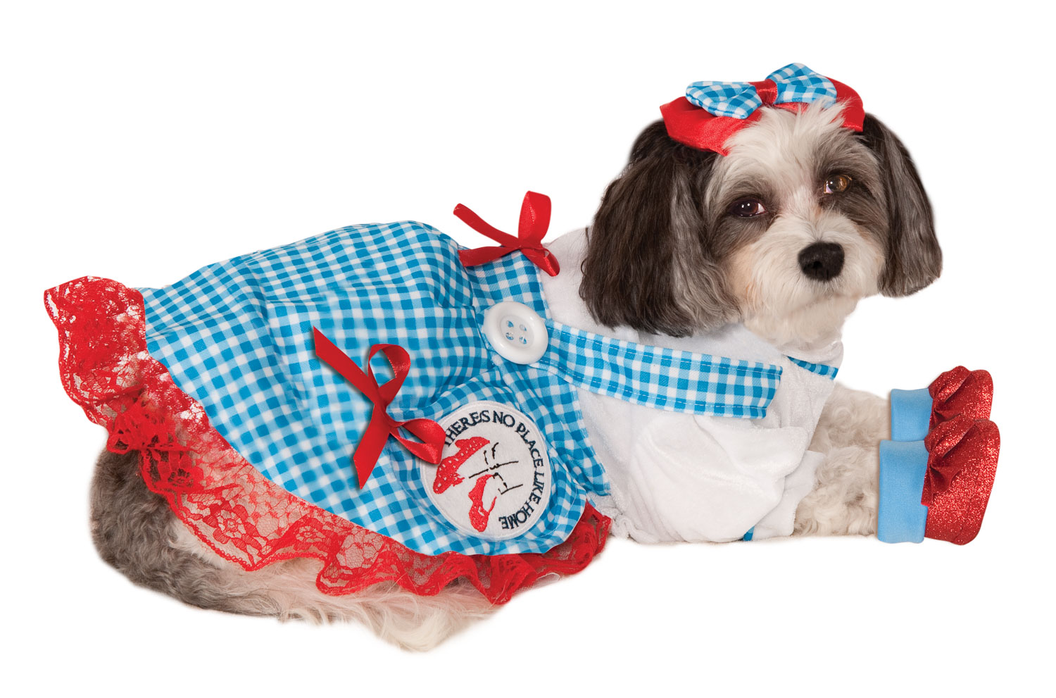 Wizard of Oz Dorothy Dog or Cat Pet Halloween Costume by Rubies - Image 3