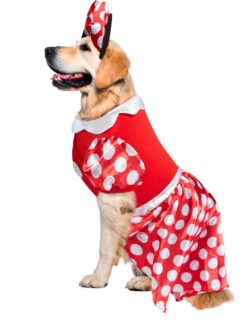 Disney Minnie Mouse by Rubies for Pets - Image 4