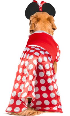 Disney Minnie Mouse by Rubies for Pets - Image 5