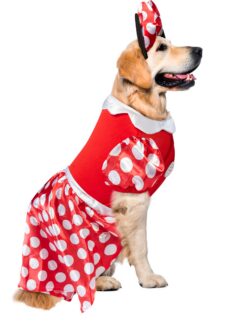 Disney Minnie Mouse by Rubies for Pets - Image 6