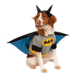 DC Comic Classic Batman Pet Costume for Dogs or Cats by Rubies - Image 5