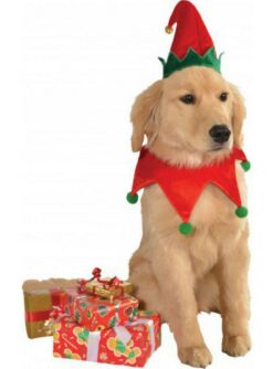Alternative view of Christmas Elf Hat & Collar Set Pet Costume for Dogs and Cats by Rubies