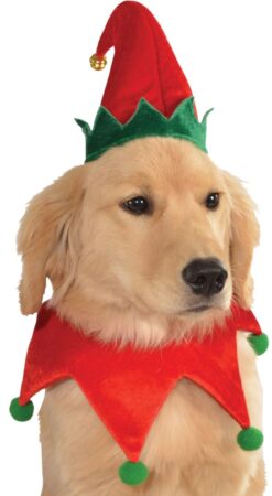 Christmas Elf Hat & Collar Set Pet Costume for Dogs and Cats by Rubies