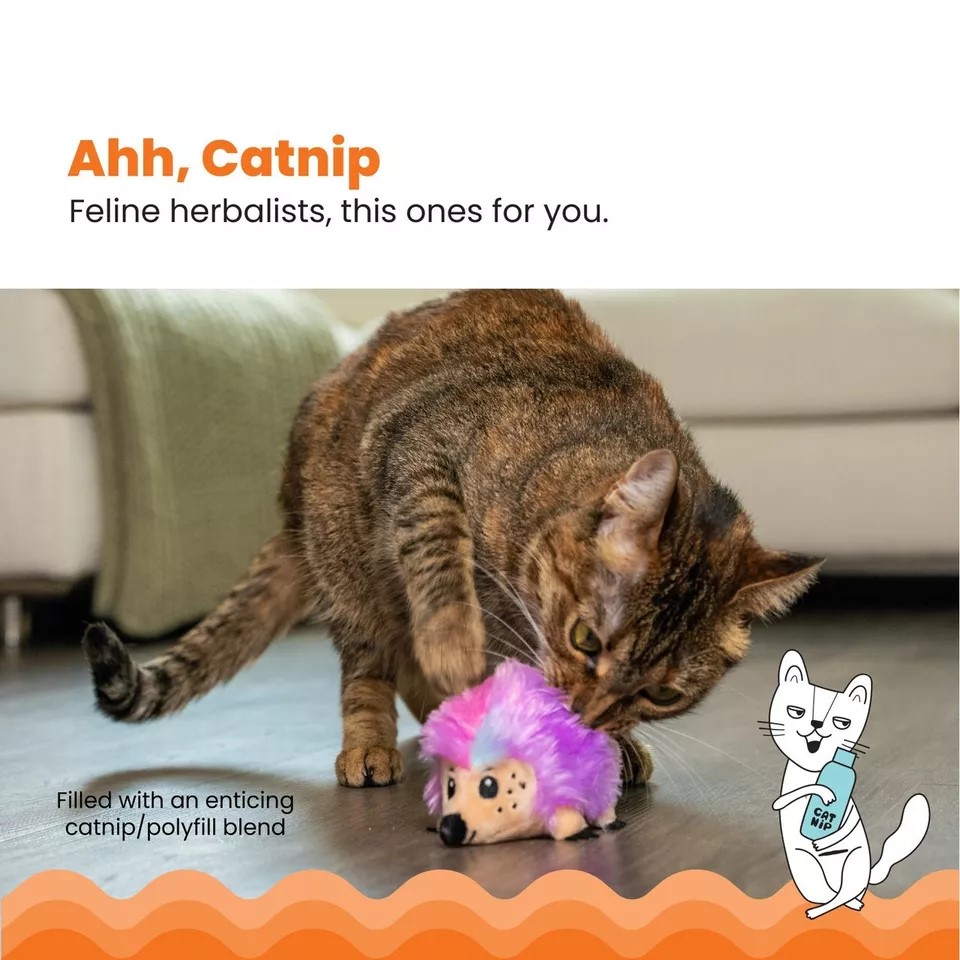 Catnip Plushies Hedgehog Plush Cat Toy - Image 6