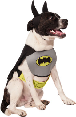 Rubie's DC Comic Batman Pet Costume with Chest Piece - Image 4