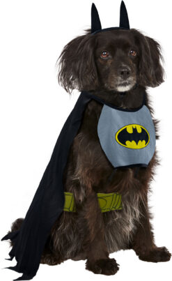 Rubie's DC Comic Batman Pet Costume with Chest Piece