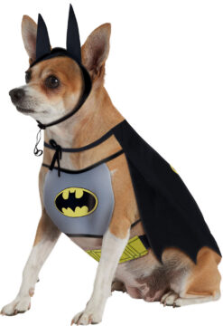 Alternative view of Rubie's DC Comic Batman Pet Costume with Chest Piece