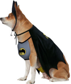 Rubie's DC Comic Batman Pet Costume with Chest Piece - Image 3