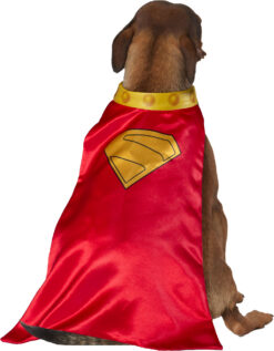 Alternative view of Rubies DC Comic Superman's Dog Krypto Cape With Collar