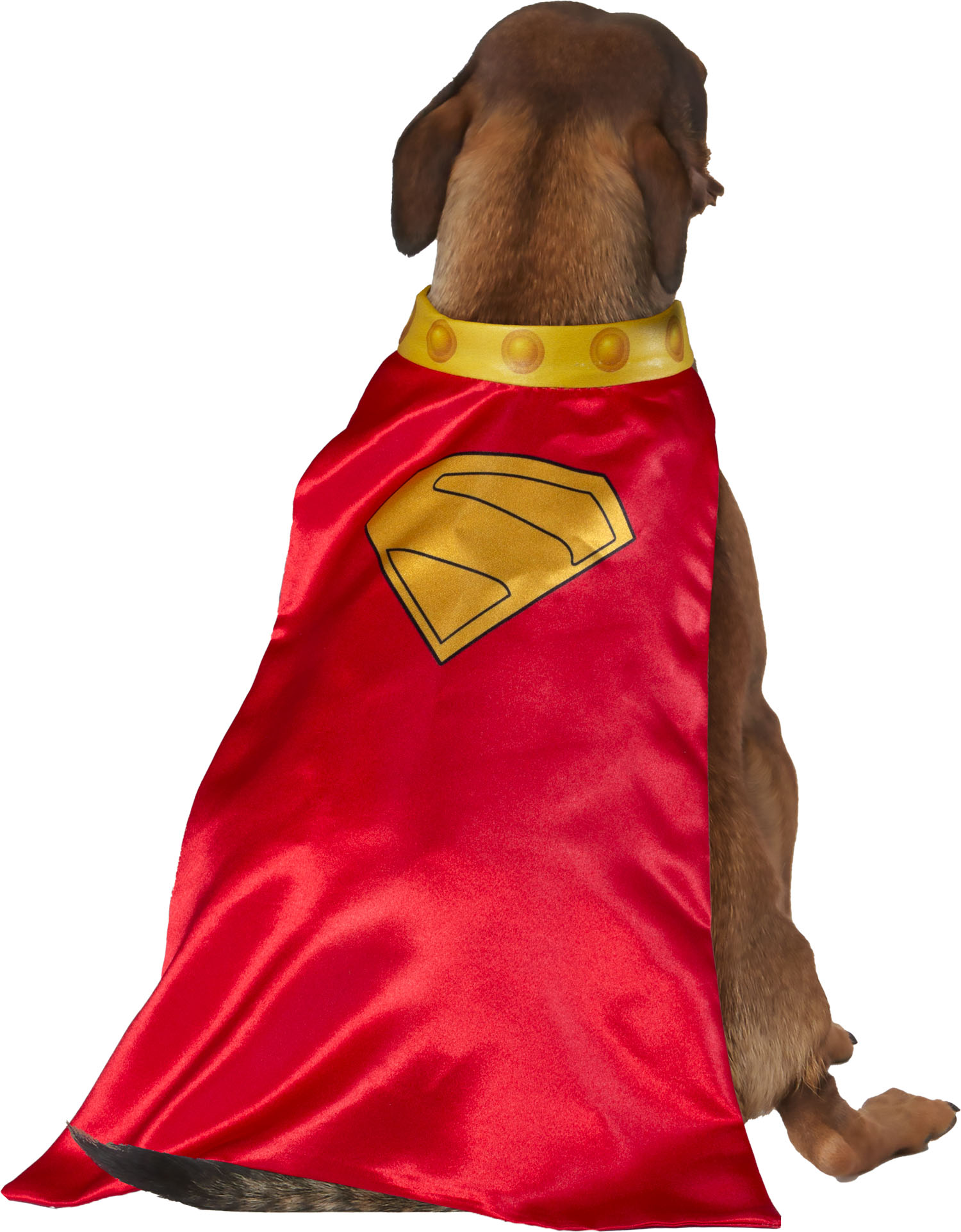 Rubies DC Comic Superman's Dog Krypto Cape With Collar - Image 2
