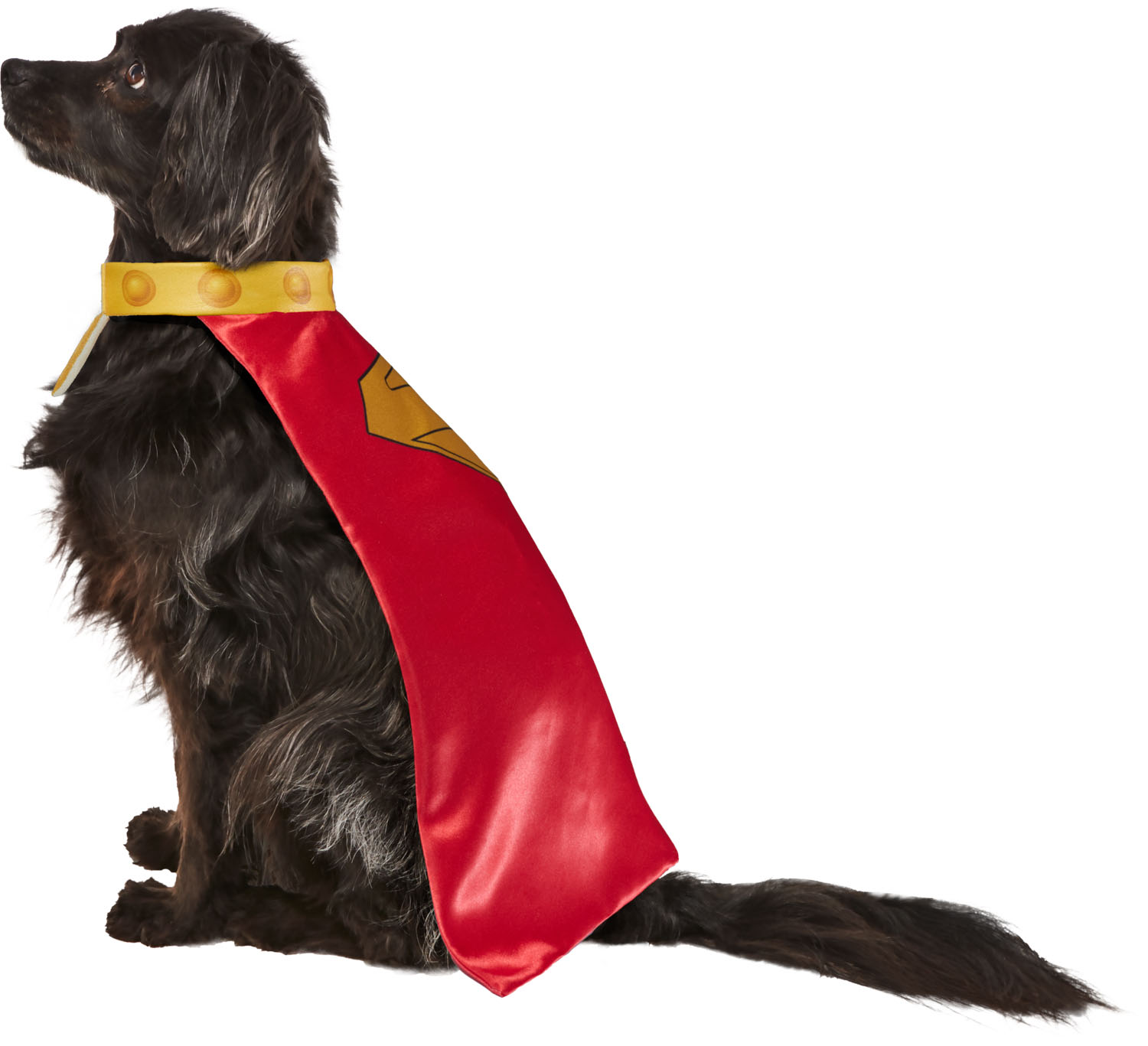 Rubies DC Comic Superman's Dog Krypto Cape With Collar - Image 3