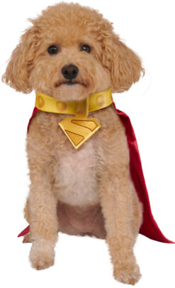 Rubies DC Comic Superman's Dog Krypto Cape With Collar - Image 4