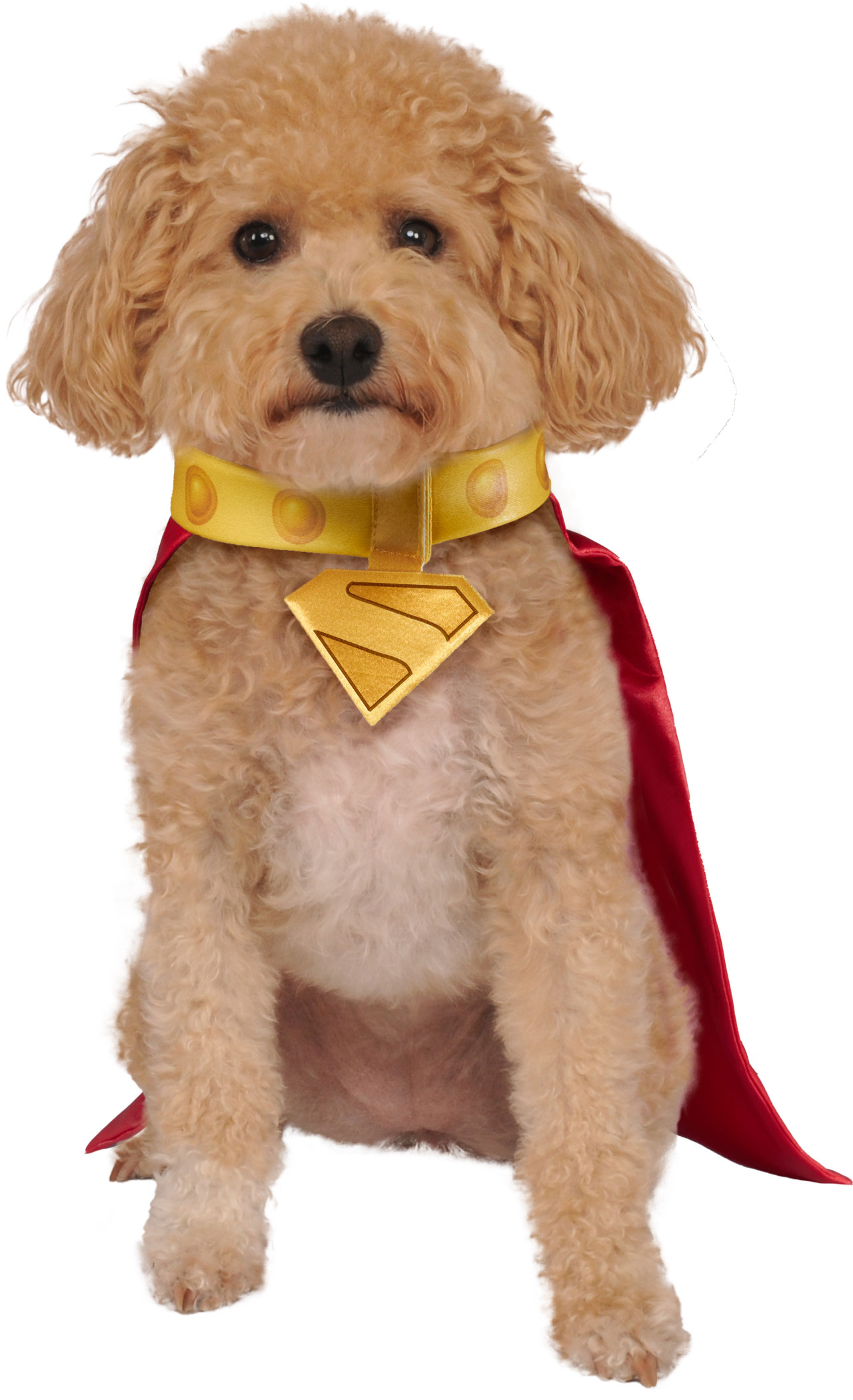 Rubies DC Comic Superman's Dog Krypto Cape With Collar - Image 4