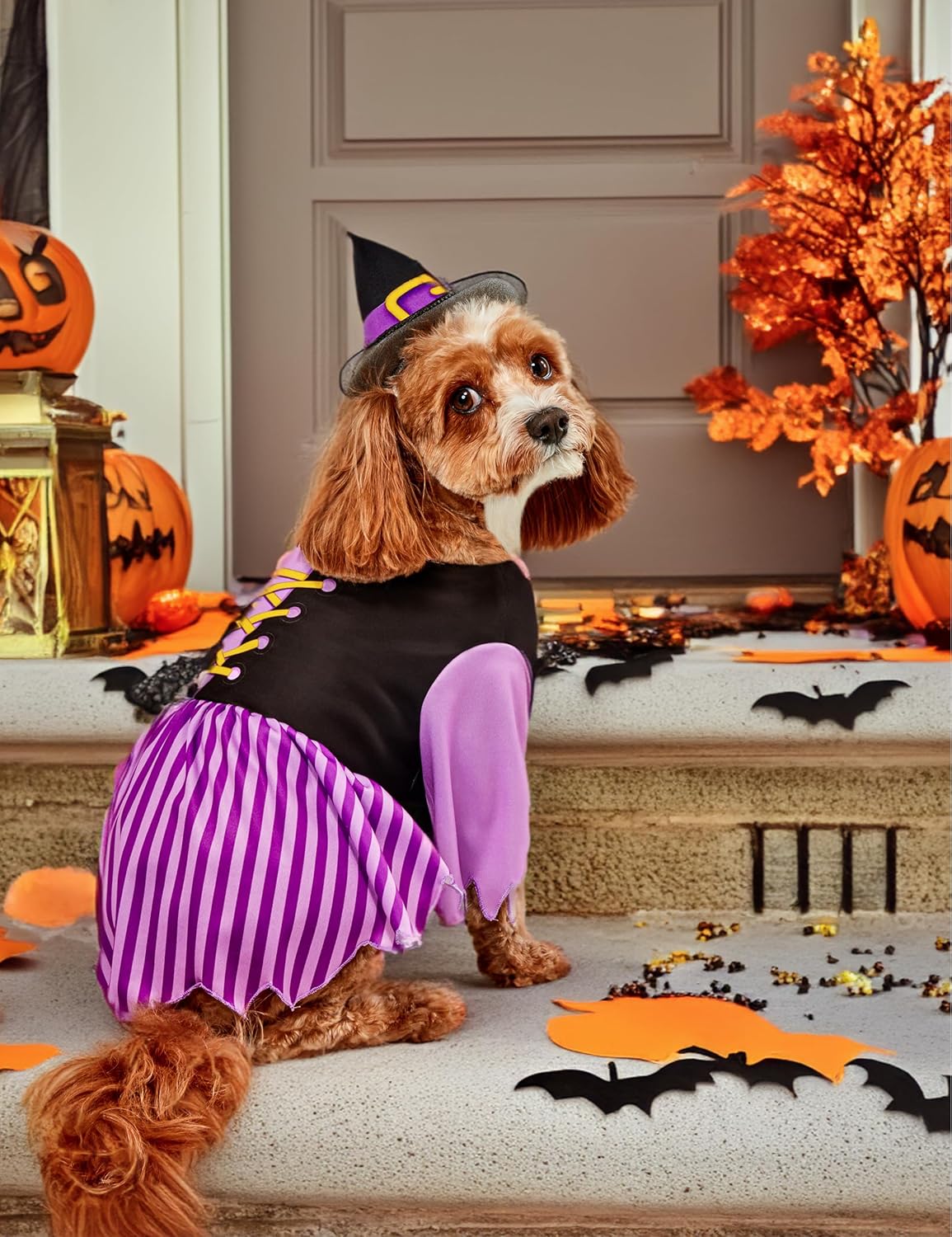 Rubies Pet Halloween Witch Costume - Image 2