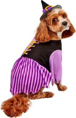 Rubies Pet Halloween Witch Costume