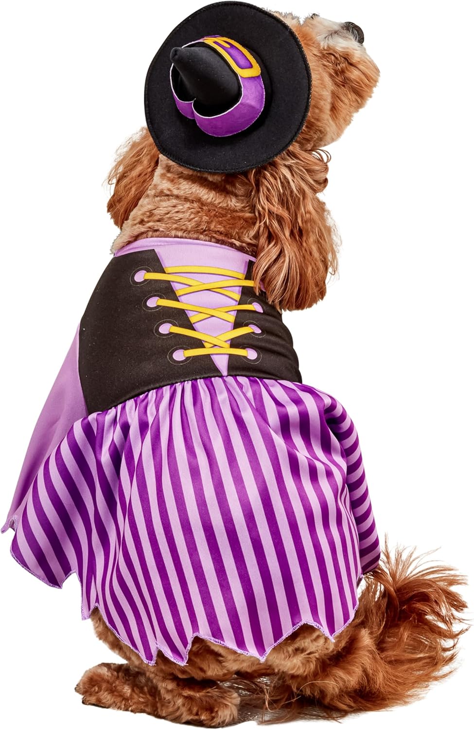 Rubies Pet Halloween Witch Costume - Image 7